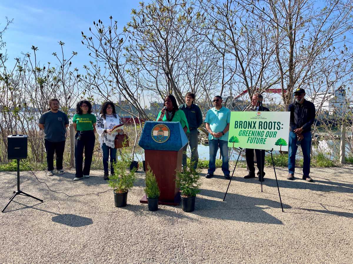 Borough President Gibson urged the administration Thursday to fully fund the parks department and plant more trees in the borough during a press conference.