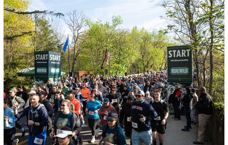 bronx zoo