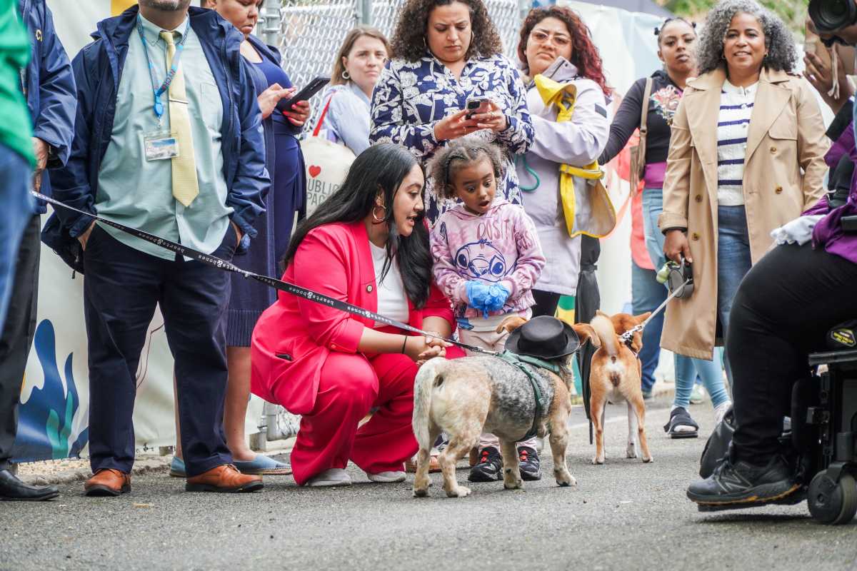 NYC Council Majority Leader Amanda Farias introduced a couple of furry friends to a young girl Friday at the unveiling of the new dog park at Castle Hills Houses.