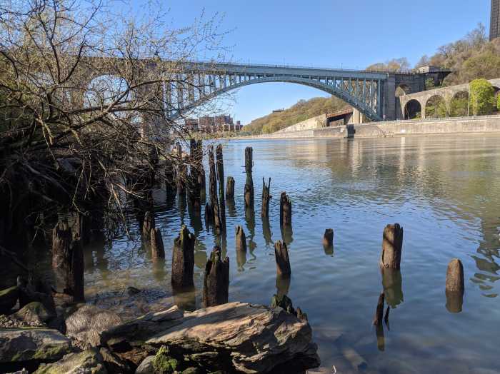 Congressional funding for an environmental project that would try and restore degraded habitats and improve the water quality of the Harlem River is at risk of being forfeited if the city does not commit to sharing the cost.