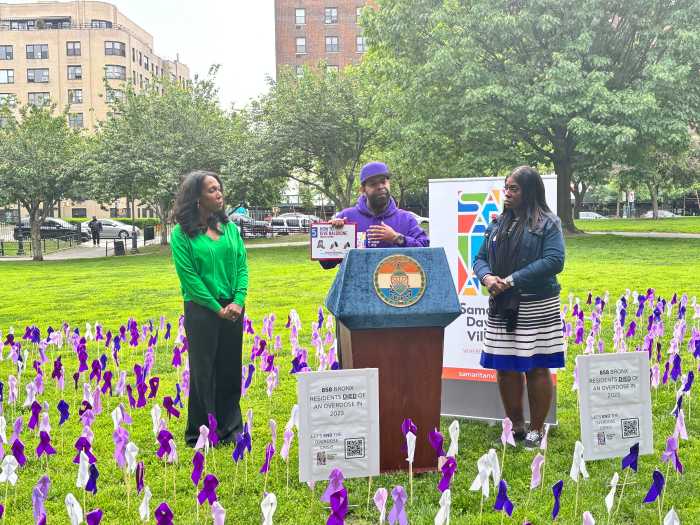 The nonprofit Samaritan Daytop Village filled a Bronx park with purple ribbons to memorialize all the people in the borough who died of an opioid overdose in 2023 and raise awareness about harm reduction tools like Narcan to reverse an opioid overdose.