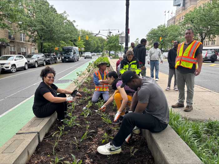 planting activty horizontal photo