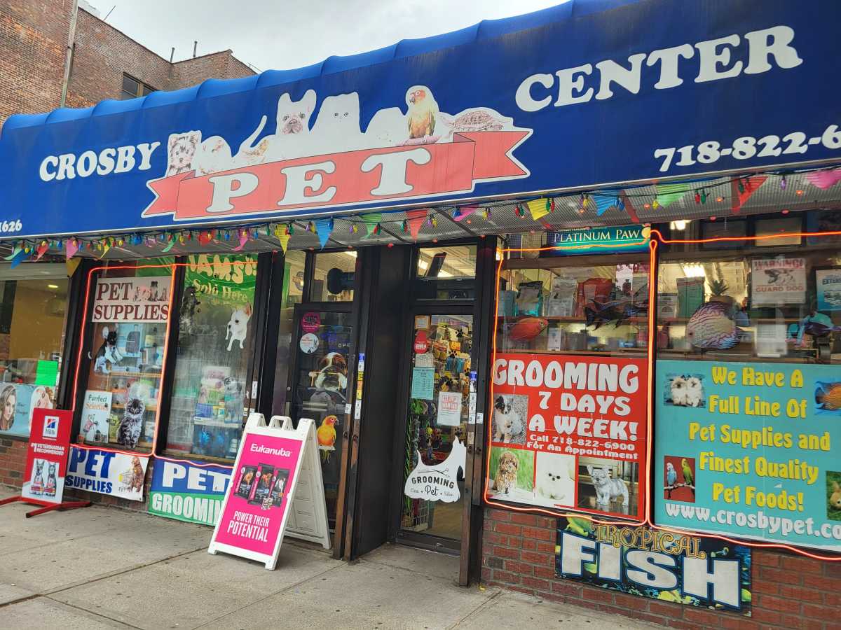 Bronx pet store owner says state ban on puppy sales hurts small businesses and customers