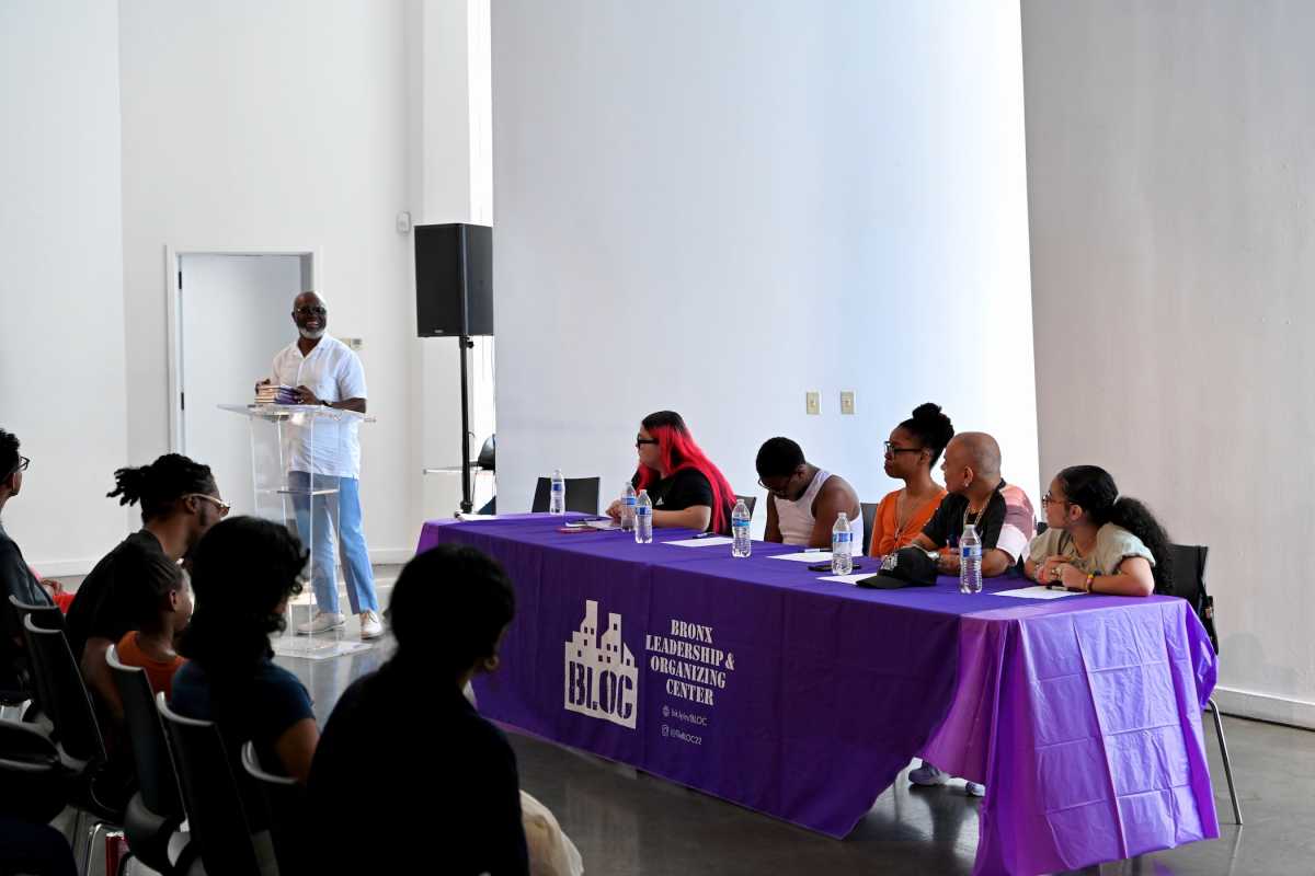 The Bronx Leadership Organizing Center and a collective of authors launched a new book Tuesday which highlights the stories of Bronx youth who have been impacted by foster care, family separation and youth incarceration.