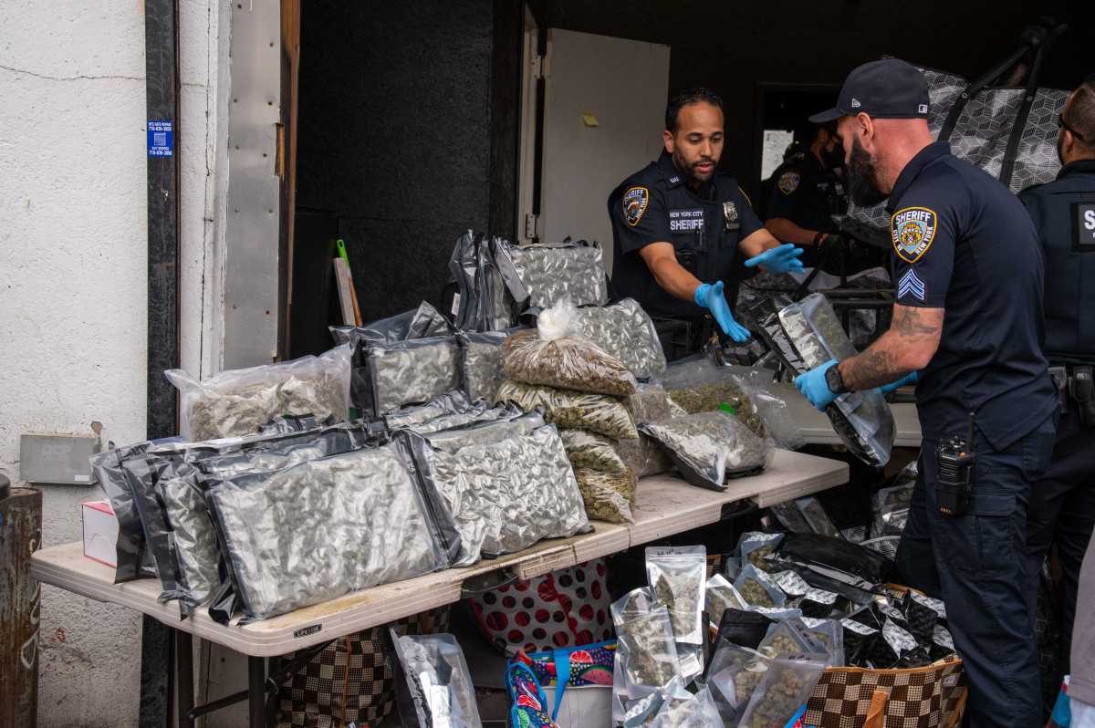 Law enforcement shut down an illegal cannabis operation out of Mott Haven on Thursday, seizing about 2,000 lbs of cannabis products and arresting 11 people.