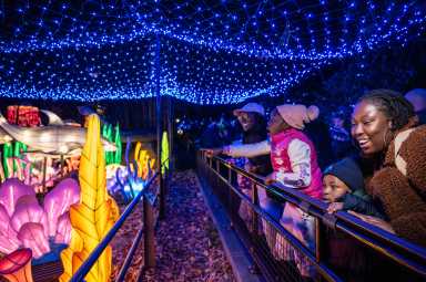 The Bronx Zoo's Holiday Lights display returns to fill the park with a glowing tribute to the animal kingdom this holiday season.