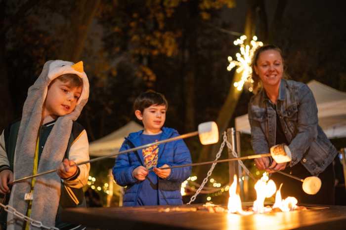 Visitors of all ages can roast marshmellows for s'mores and enjoy a cup of hot cocoa while at the Bronx Zoo's Holiday Lights event through January.