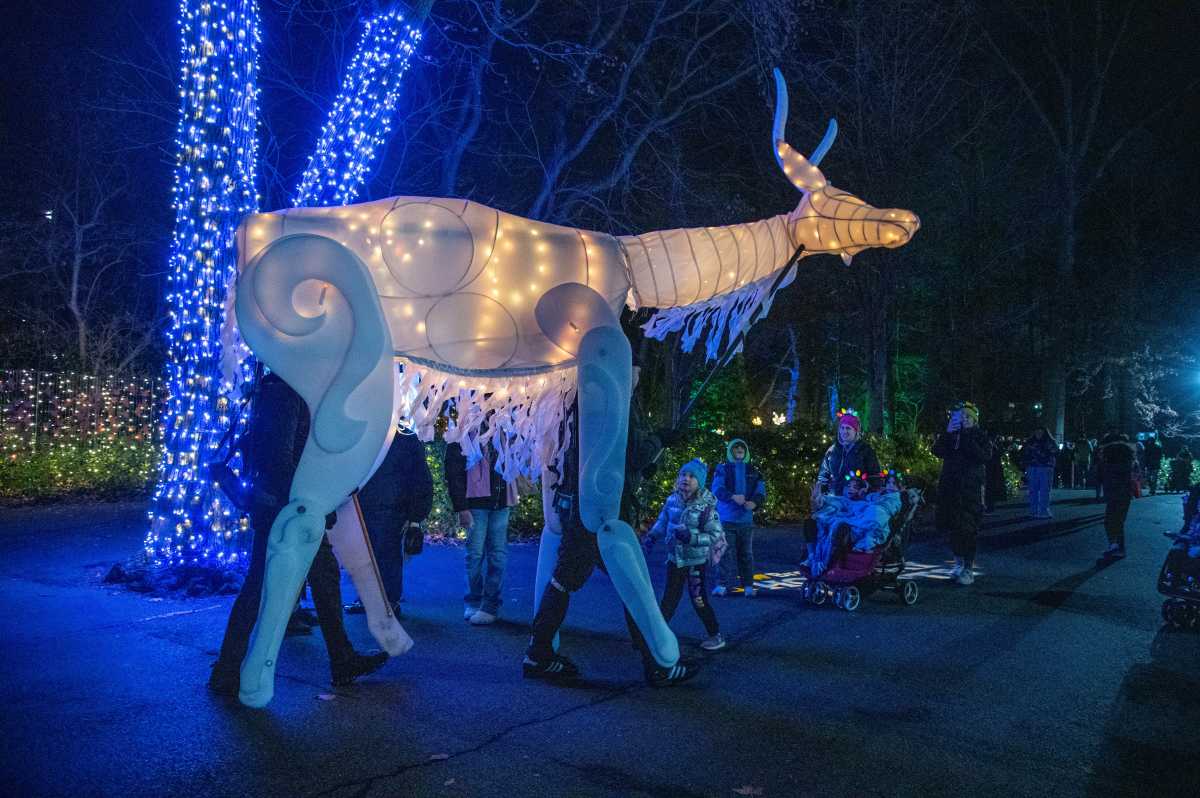 Holiday Lights at the Bronx Zoo features huge lanterns shaped like animals. Some can even move and interact with visitors, like the reindeer that are operated by puppeteers (pictured).