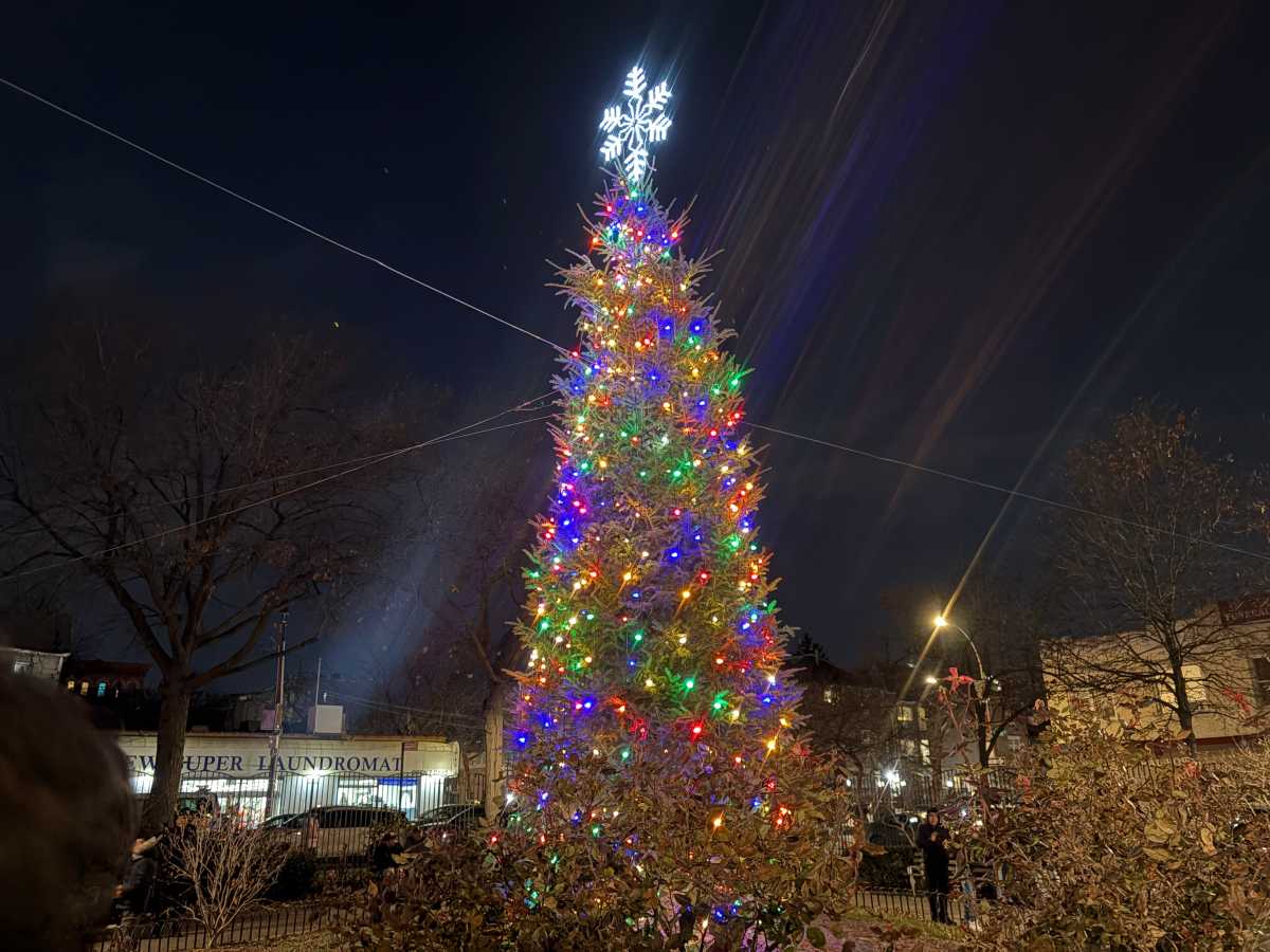 Bronx’s Little Italy held their annual tree lighting ceremony to kick off the holiday season