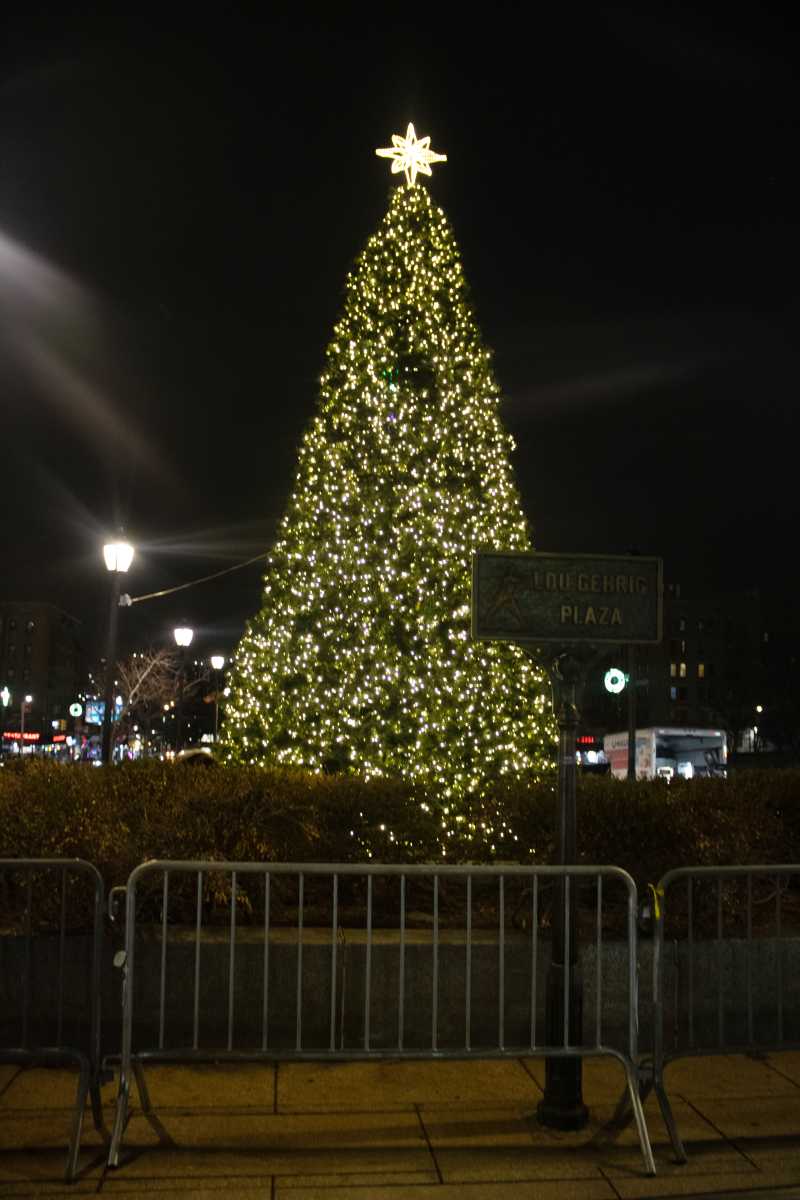 Bronx President Gibson hosts ‘Tree Lighting Extravaganza’ to kick off holiday season