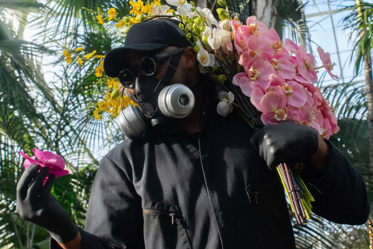 Tickets now on sale for ‘The Orchid Show: Mr. Flower Fantastic’s Concrete Jungle’ at New York Botanical Garden