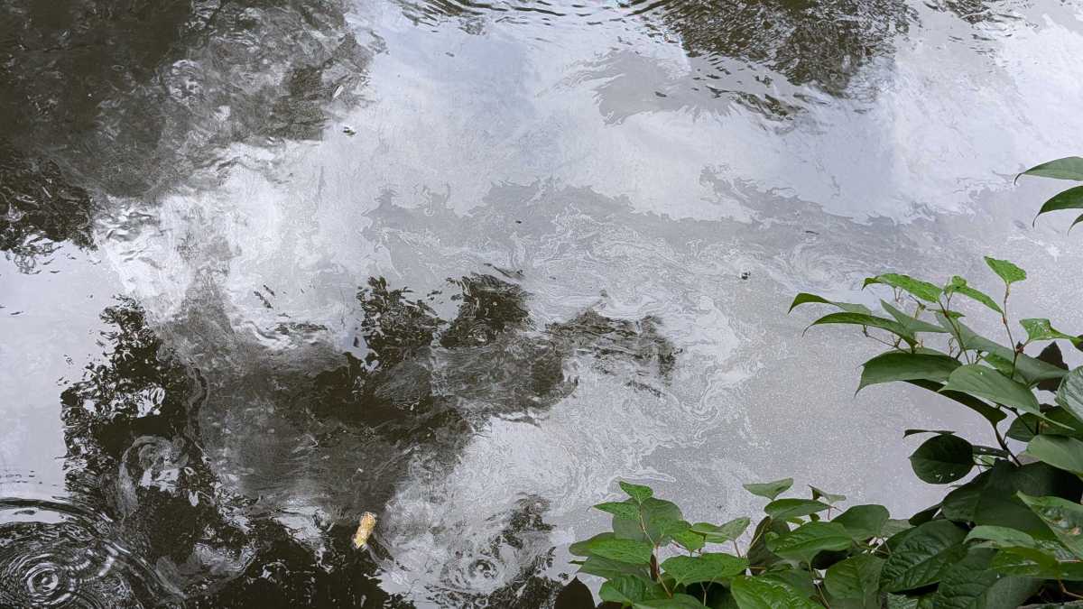 PXL_20250821_130523531