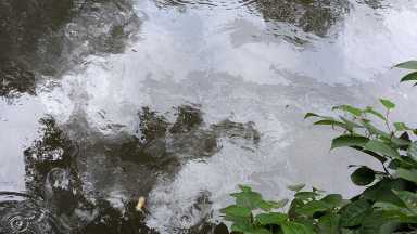 PXL_20250821_130523531