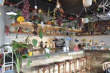 Mae Mae Café and Plant Shop in Mott Haven for Bronx restaurant week.