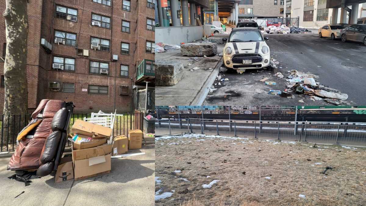 Untitled design (16)