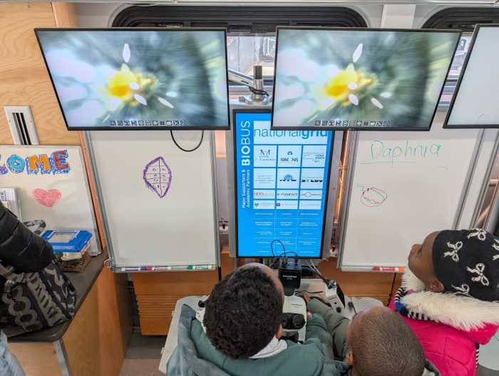Students looking at a microscope screen in the BioBus mobile lab.