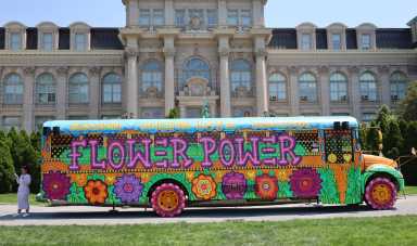 flowerpower_snoemanbusps