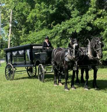 FRONT PAGE Horse Article