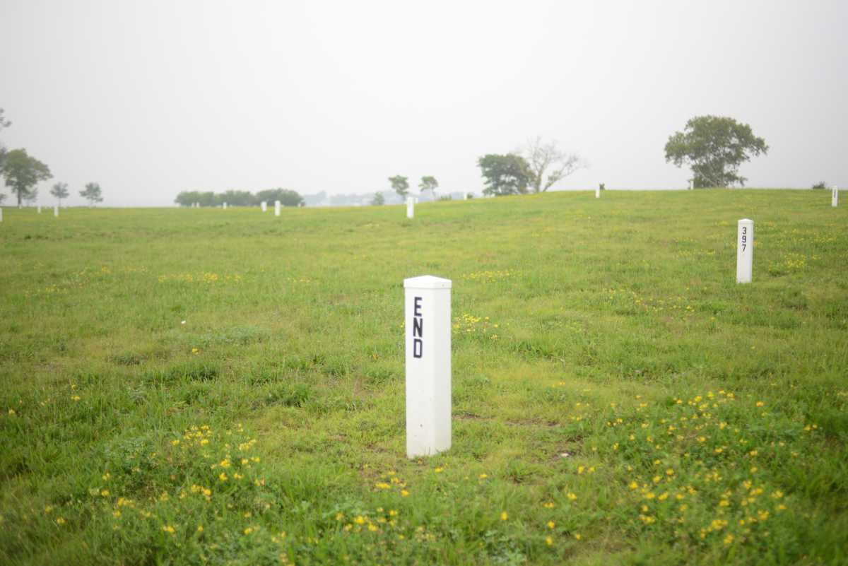 Over a million New Yorkers are estimated to be buried on Hart Island.