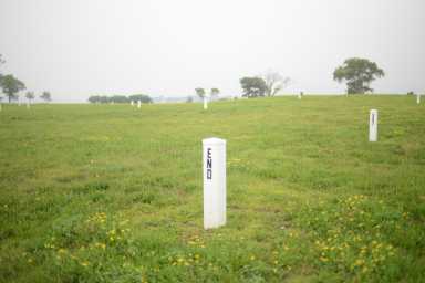 Over a million New Yorkers are estimated to be buried on Hart Island.