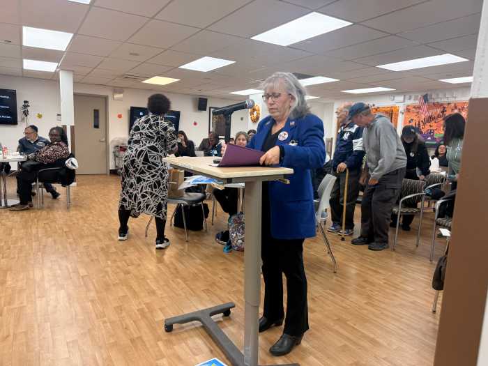 Van Nest Neighborhood Alliance President Bernadette Ferrara expresses her opposition to the Yemeni cultural district bills.